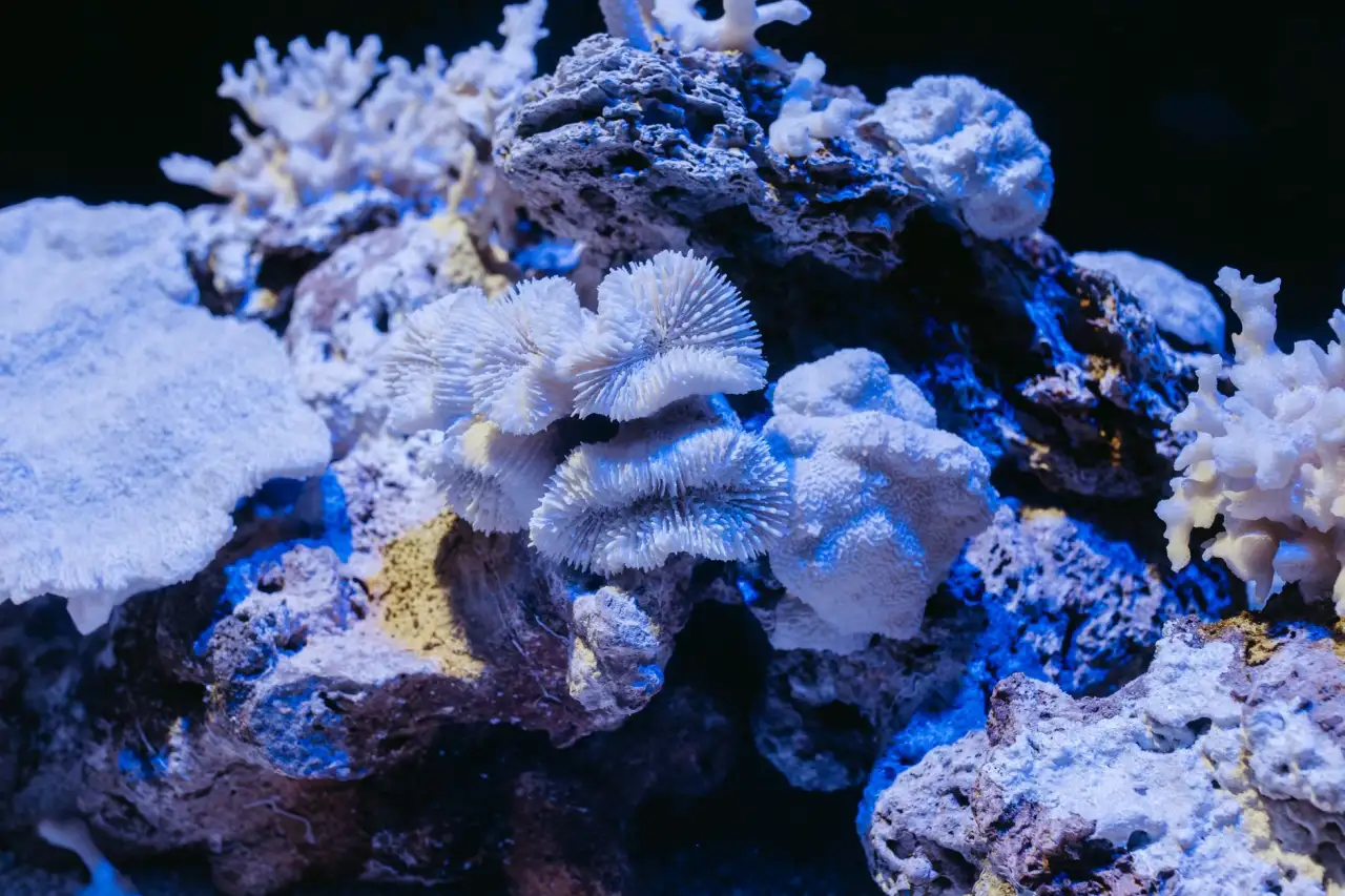压力表与温度传感器在西北工业现场的参数监测方案解析